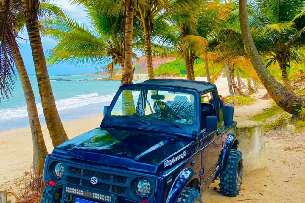 passeio de buggy litoral sul e norte