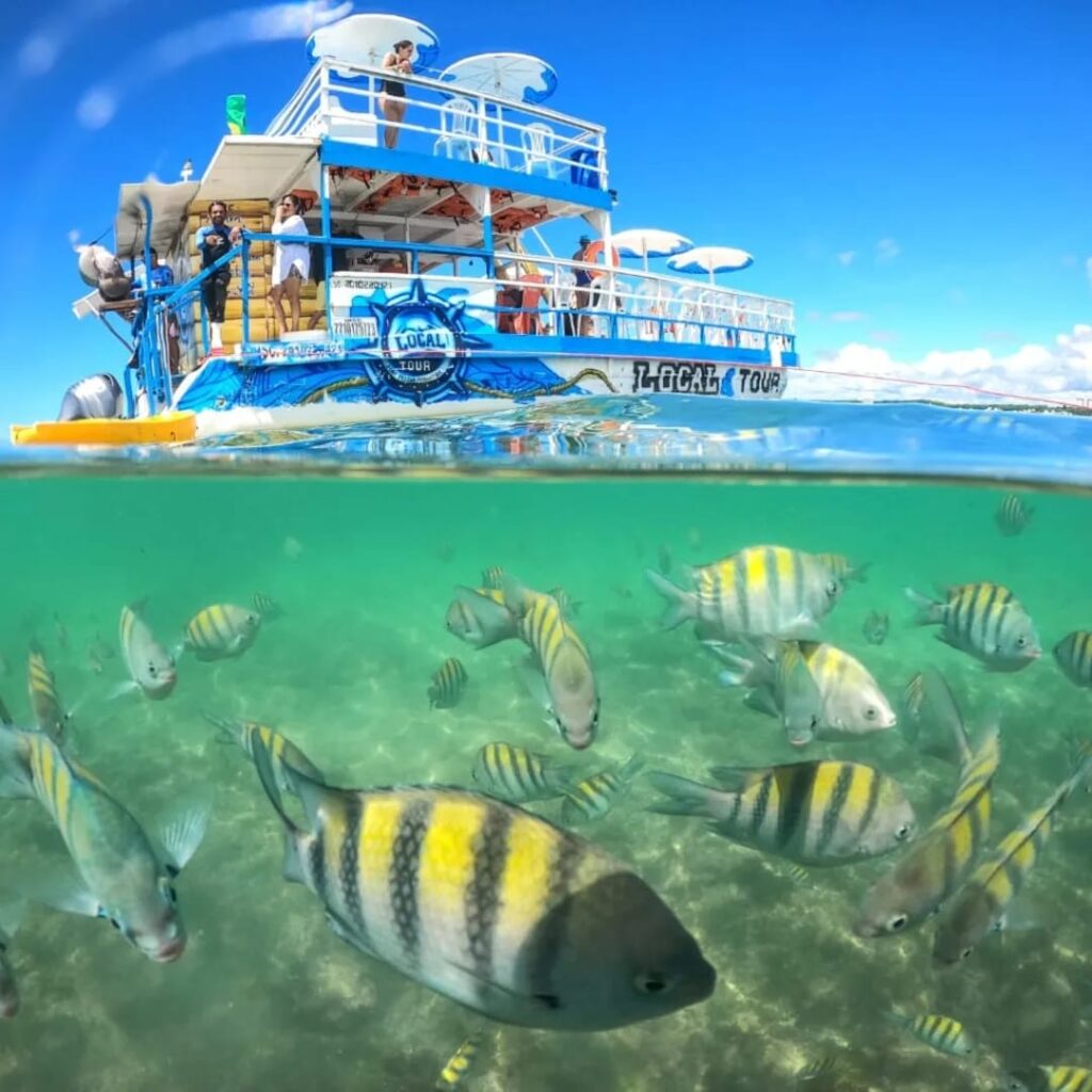 passseio de barco hoje