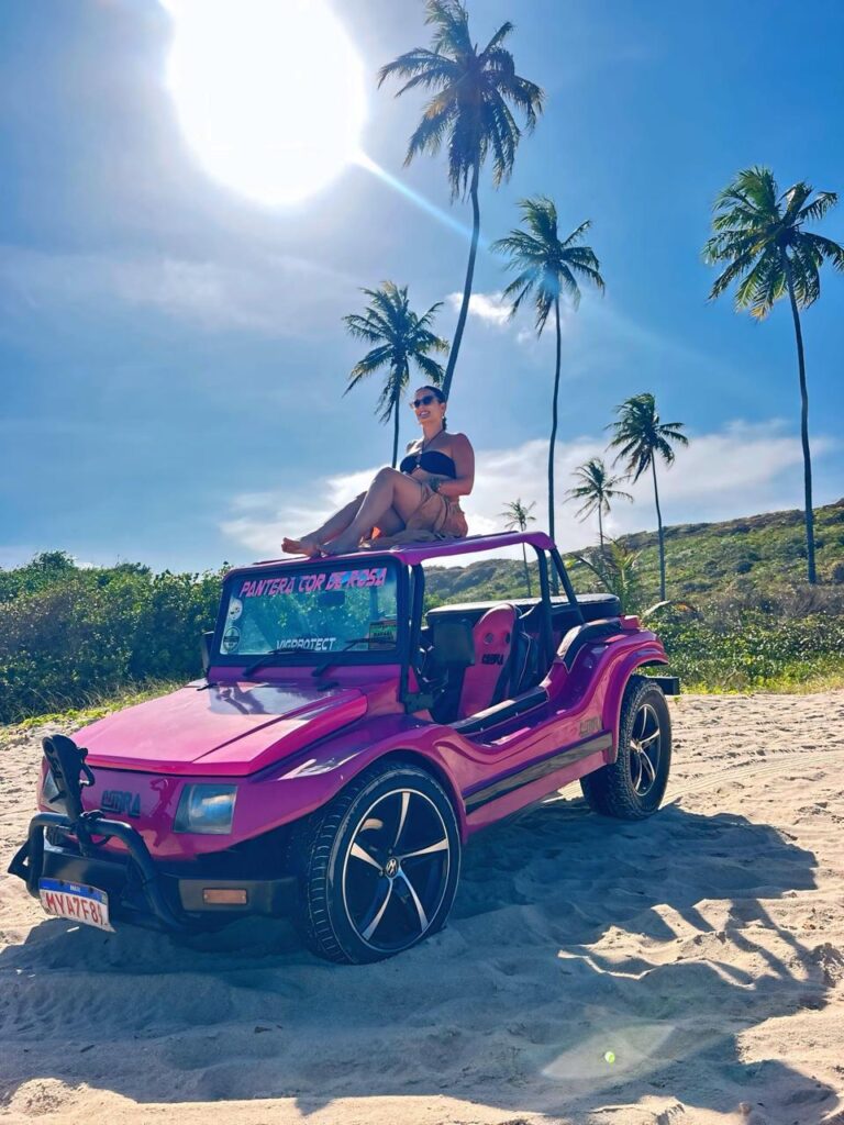 Vista aérea da enseada da Praia de Coqueirinho com seus coqueiros e falésias.