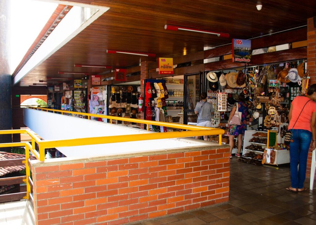 Vista aérea ou panorâmica da Lagoa do Parque Solon de Lucena cercada por palmeiras imperiais.