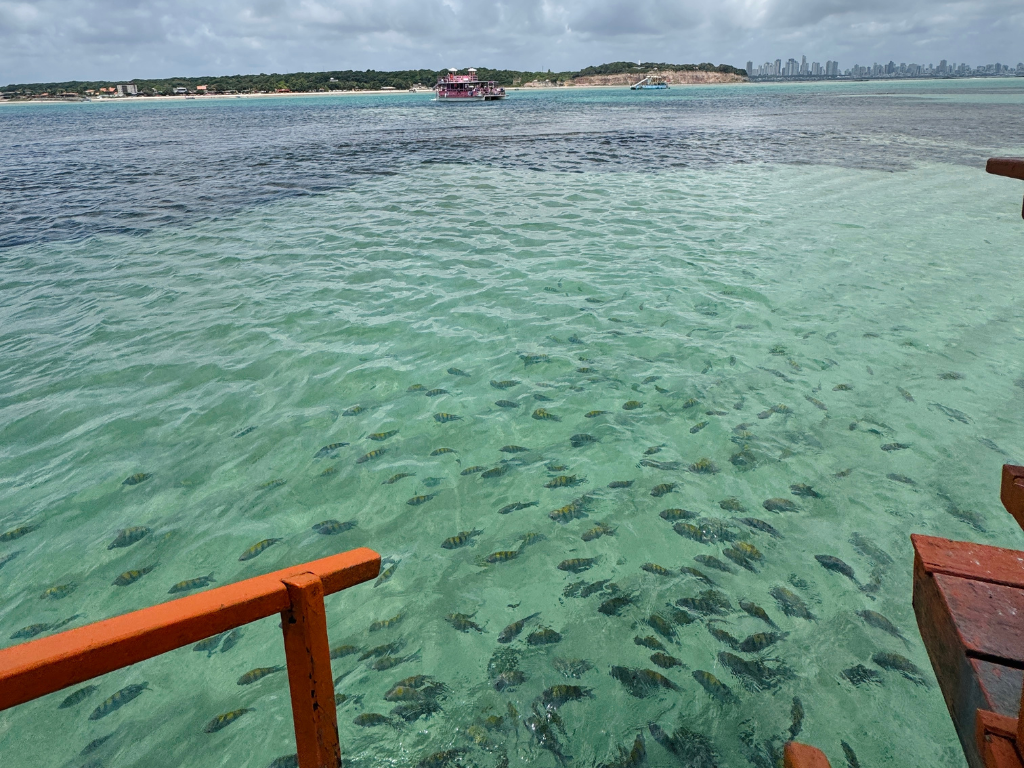 Vista panorâmica do passeio de barco no Seixas, o ponto mais oriental das Américas.