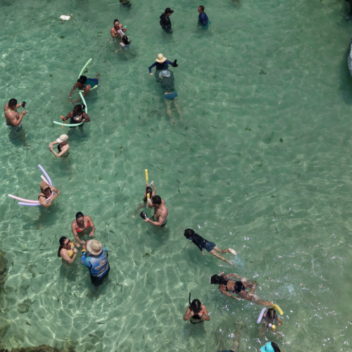 Vista aérea do banco de corais nas Piscinas do Seixas durante a maré baixa com mar azul turquesa.