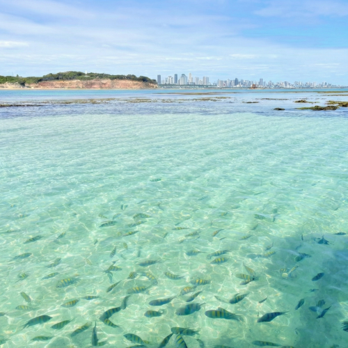 Gemini_Generated_Image_q4z4fq4z4fq4z4fq