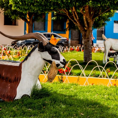 Prato farto de carne de bode assada, macaxeira e feijão verde servido em restaurante rural no Cariri.