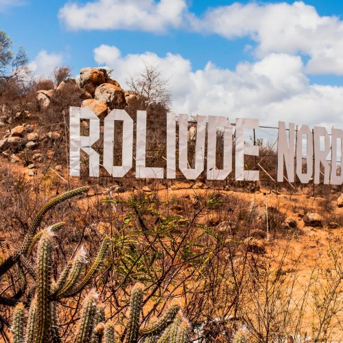 Paisagem do Cariri mostrando cactos mandacaru e xique-xique em meio à vegetação da Caatinga.