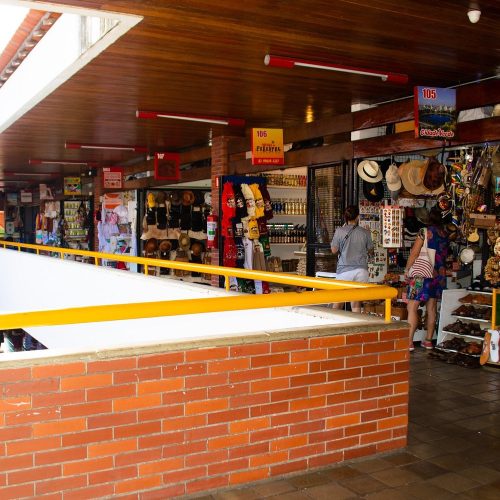 Vista aérea ou panorâmica da Lagoa do Parque Solon de Lucena cercada por palmeiras imperiais.