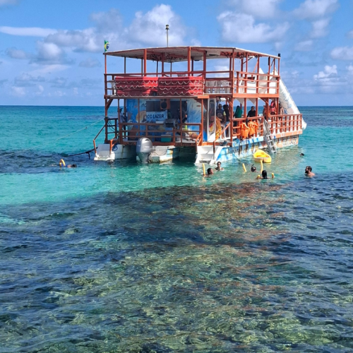 passeio de catamarã