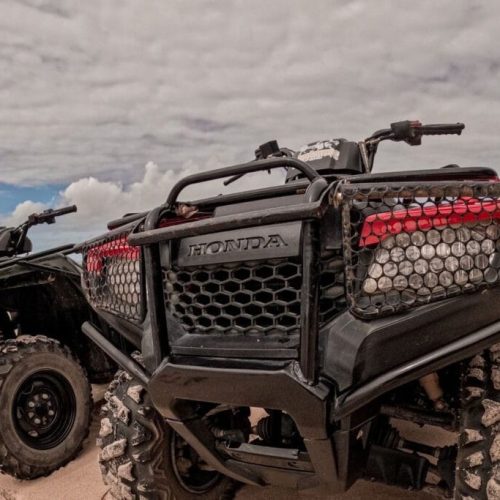 passeios no litoral sul