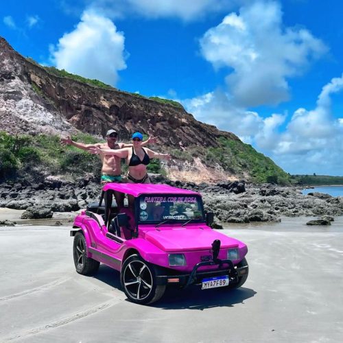 Buggy a acelerar numa estrada de terra cercada por coqueiros gigantes na Trilha dos Coqueirais.