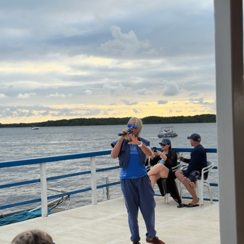 Vegetação de manguezal nas margens do Rio Paraíba vista do barco.